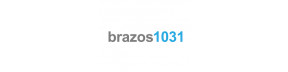 Brazos 1031 Exchange Company LLC 2022 C5 Exhibitor Logo